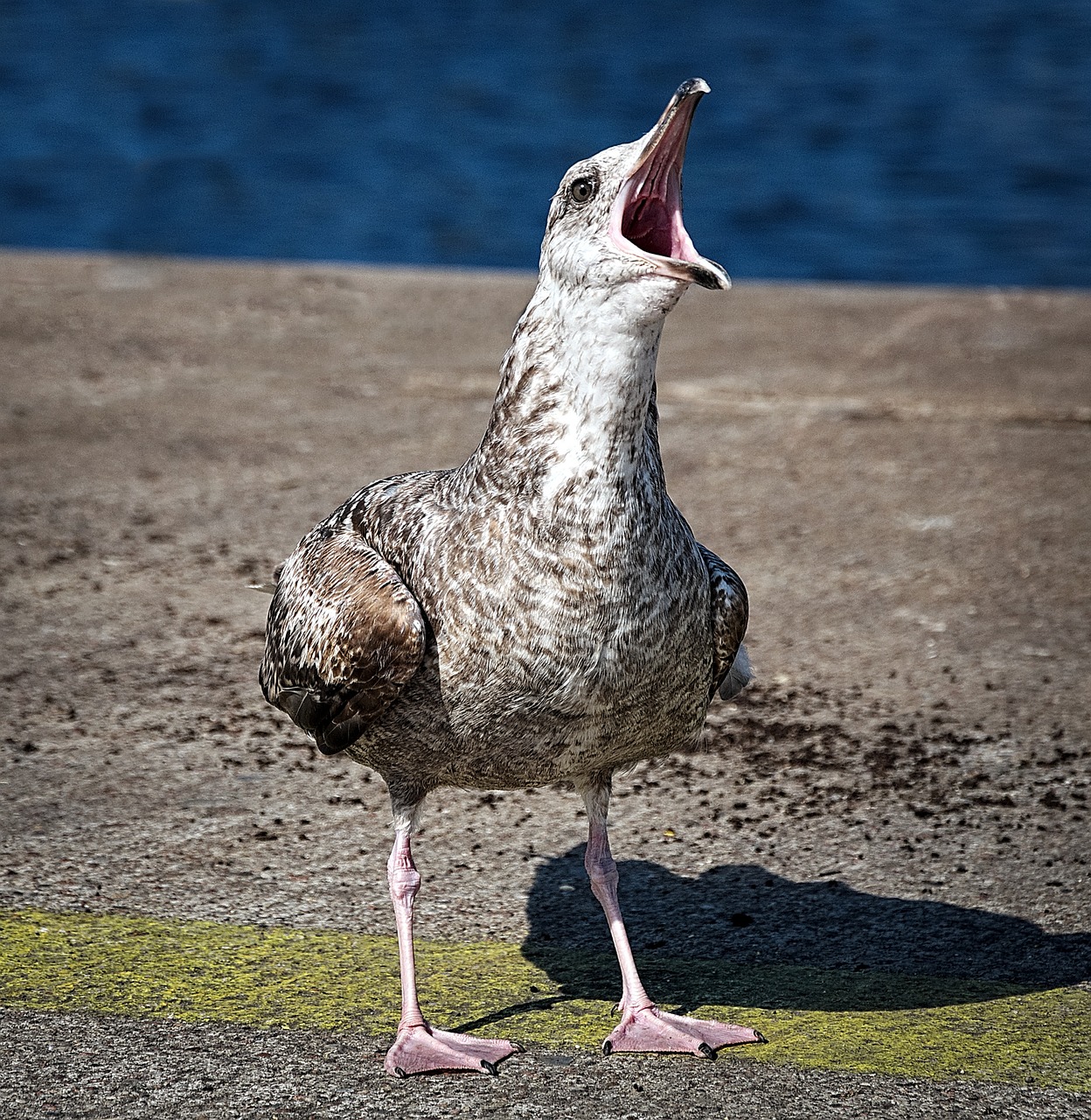découvrez tout ce qu'il faut savoir sur le compte de résultat (income statement) : définition, importance, composantes clés et comment l'analyser pour évaluer la performance financière d'une entreprise.