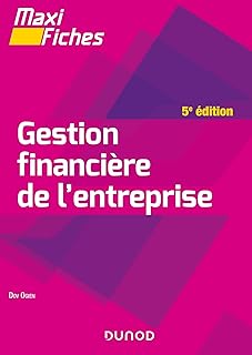 Maxi fiches - Gestion financière de l
