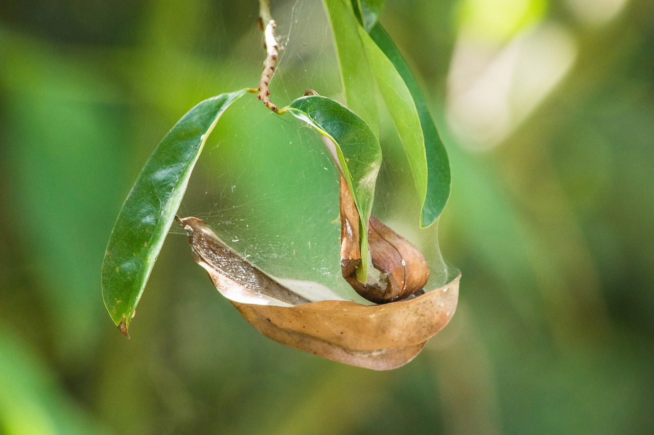 découvrez ce qu'est un bilan comptable, son importance pour analyser la santé financière d'une entreprise, et comment l'interpréter efficacement.