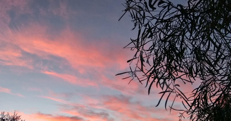 fond naturel